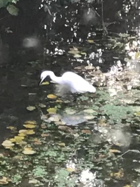 Reveil Aux Chants Des Oiseaux Asse-le-Riboul ภายนอก รูปภาพ