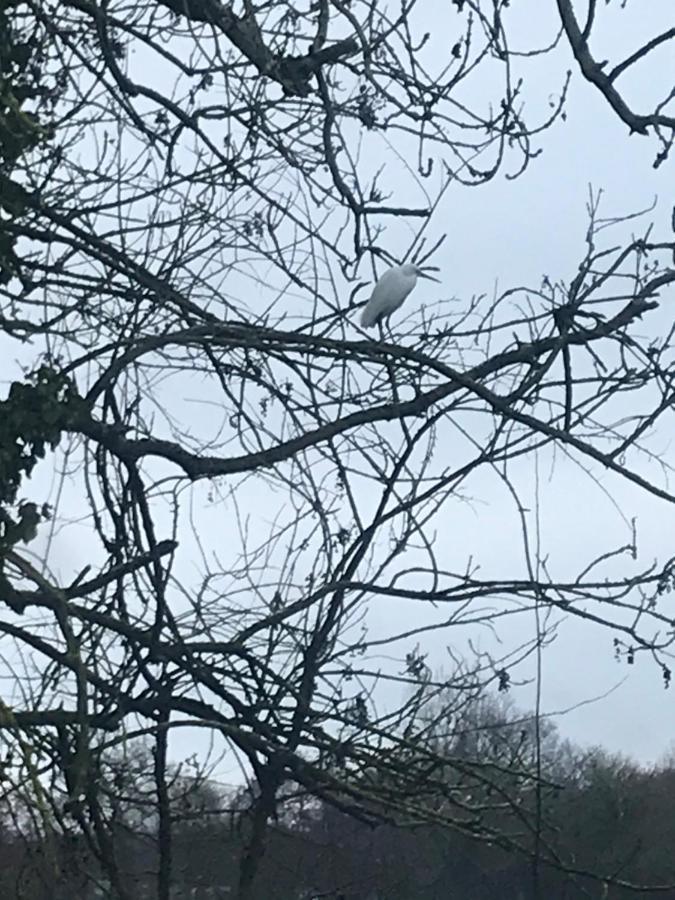 Reveil Aux Chants Des Oiseaux Asse-le-Riboul ภายนอก รูปภาพ