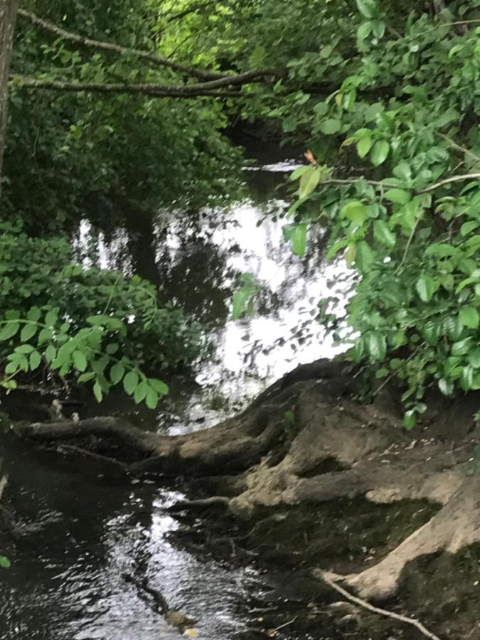 Reveil Aux Chants Des Oiseaux Asse-le-Riboul ภายนอก รูปภาพ