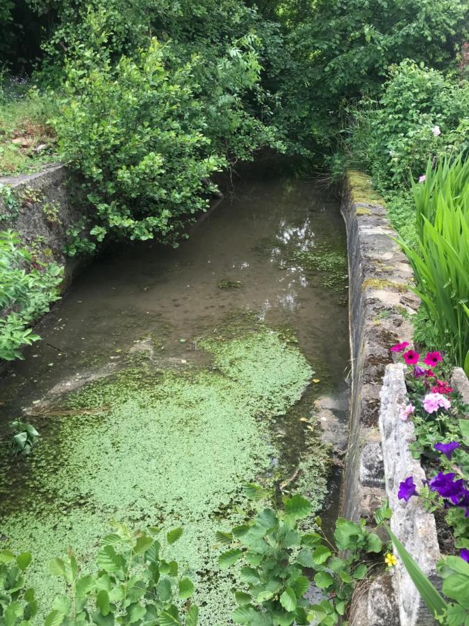 Reveil Aux Chants Des Oiseaux Asse-le-Riboul ภายนอก รูปภาพ