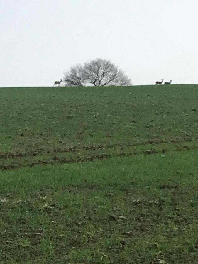 Reveil Aux Chants Des Oiseaux Asse-le-Riboul ภายนอก รูปภาพ